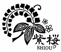 創作エイサー紫桜